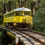 Las 6 mejores compañías de cruceros para parejas y sus viajes más románticos »